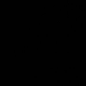 Meet your Posher, Jaylynn